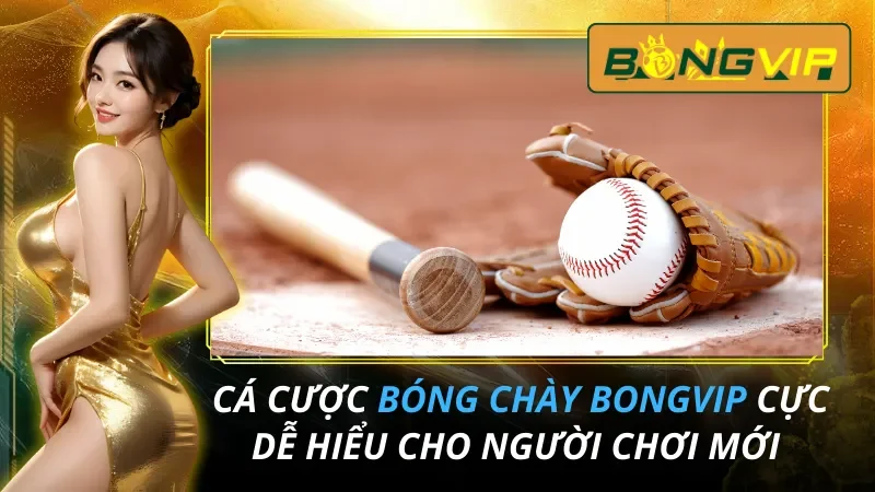 Cá Cược Bóng Chày Cực Dễ Hiểu Cho Người Chơi Mới Tại Bongvip 2026