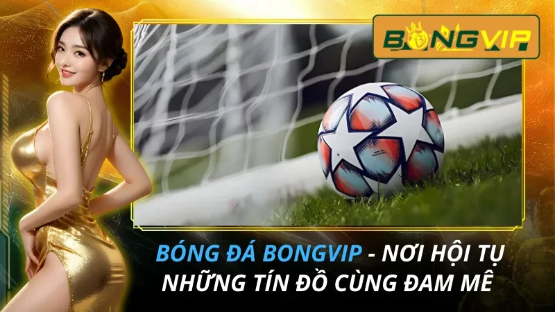 Bóng Đá
