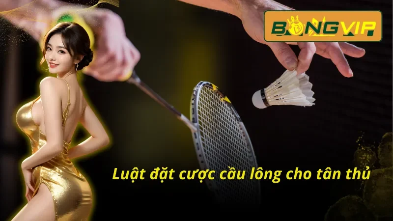 Những điều cần biết khi tham gia đặt cược cầu lông tại nhà cái Bongvip