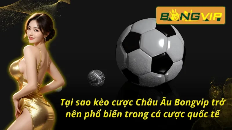 Đánh giá kèo Châu Âu tại nhà cái uy tín Bongvip 
