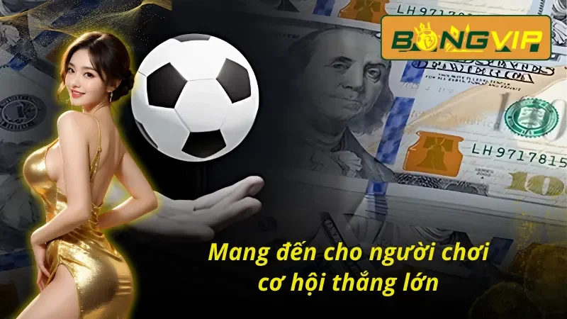 Tìm Hiểu Đọc Kèo Malaysia Chuẩn Để Cược Là Thắng Tại Bongvip 5 Kèo malaysia mang đến cơ hội thắng lớn trên Bongvip