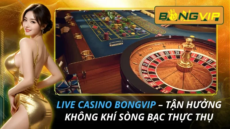 Live Casino – Tận Hưởng Không Khí Sòng Bạc Thực Thụ Tại Bongvip 26 Live Casino – Tận Hưởng Không Khí Sòng Bạc Thực Thụ Tại Bongvip