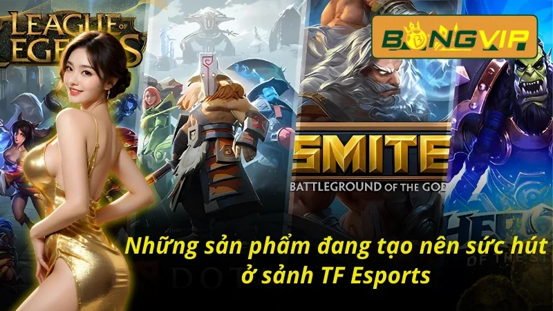 TF Esports - Sảnh Esports Đặc Sắc Nhất Bongvip 2026 5 05 thể loại về thể thao điện tử tại TF Esports trên Bongvip