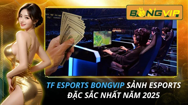 TF Esports - Sảnh Esports Đặc Sắc Nhất Bongvip Năm 2026
