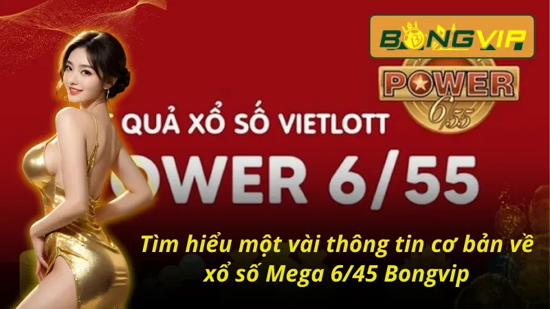 Xổ Số Mega 6/45 - Khám Phá Luật Chơi Chuẩn Hiện Nay Cùng Bongvip 2 Một vài nét đặc biệt về xổ số Mega 6/45